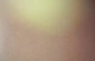 XXX सेक्सी लड़कियों सानना गधा. फुल सेक्सी फिल्म वीडियो