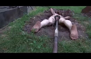 XXX गर्म युवा सेक्सी वीडियो हिंदी मूवी में चेहरा.