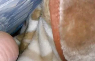 XXX मिस्सी जीवंत अंडरवियर फुल सेक्सी मूवी नेपाली प्यार करता हूँ ।