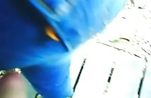 XXX वन सेक्स हिंदी मूवी अप्सरा चूसने शाखाओं के पेड़ पर.